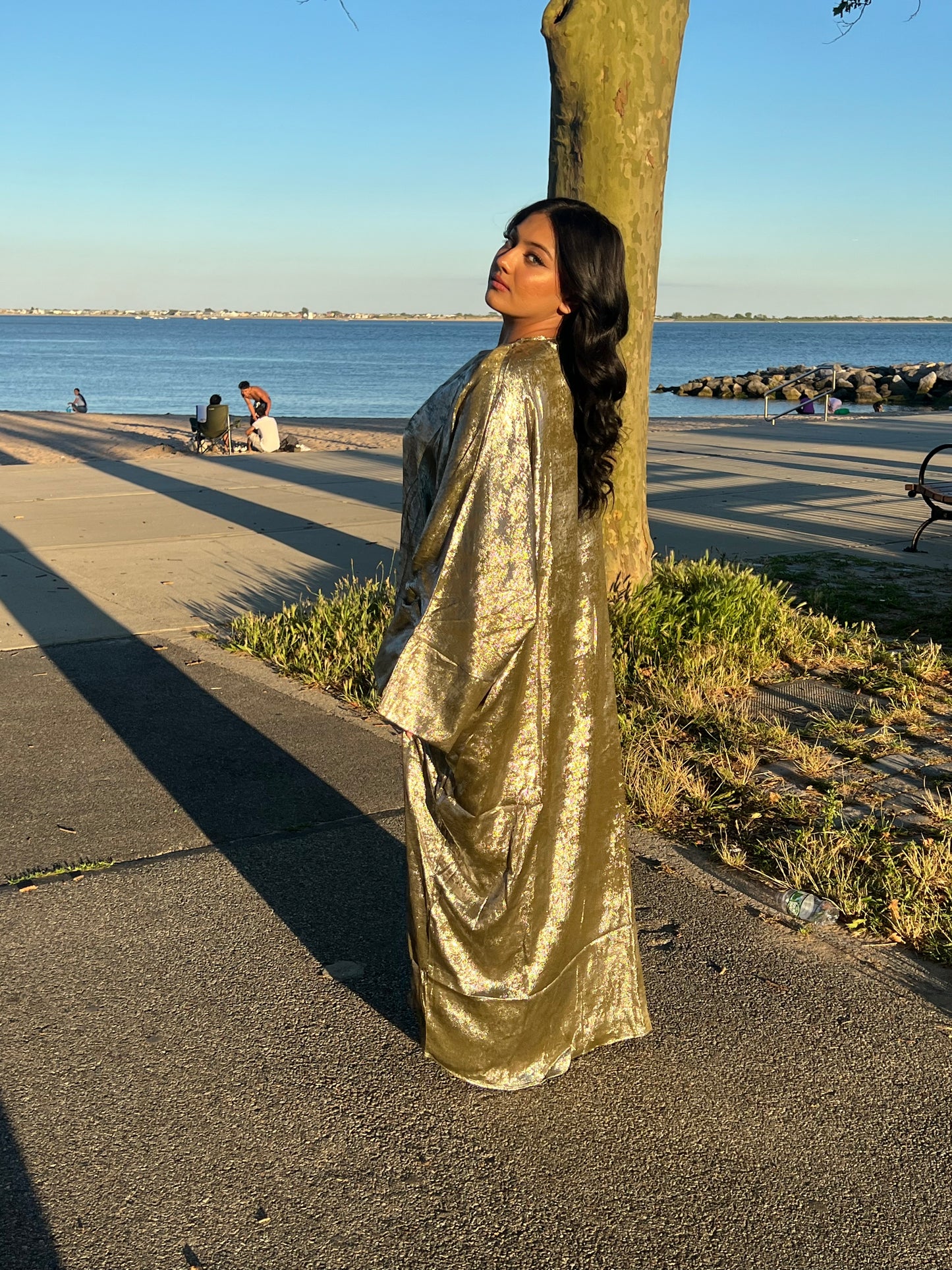 Aleena Abaya